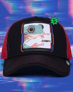 Кепка Goorin Bros Animal Farm JUMPY Bug Fixes Exclusive Limit One size (101-3888-BLK01-O\S) 9166040 фото
