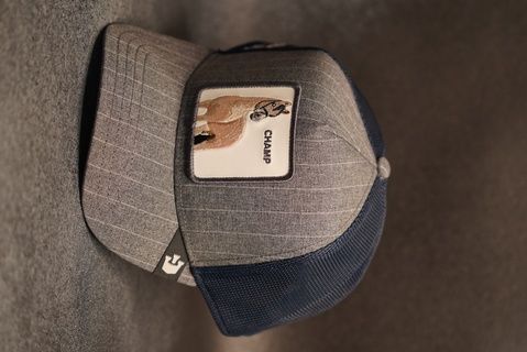 Кепка Goorin Bros Animal Farm CHAMP Limited Collection One size Black Grey (101-2016) 5377064 фото