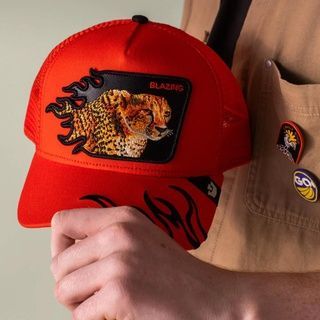Кепка Goorin Bros Animal Farm Blazing Limited Collection One size (101-) 7701879 фото