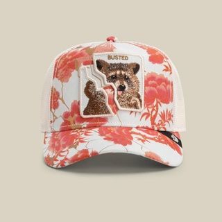Кепка Goorin Bros Animal Farm BUSTED Limited Collection One Size (101-2878-CHA01-O\S) 7936122 фото