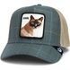 Кепка Goorin Bros Animal Farm COOL CAT Limited Collection One size(101-1855) 8163344 фото 1