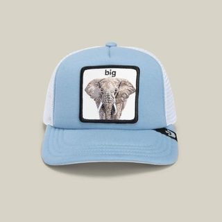 Дитяча кепка Goorin Bros Animal Farm BIG One size (201-0071) 9067332 фото