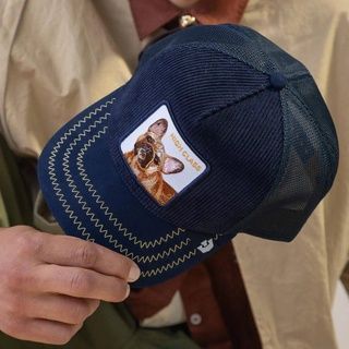 Кепка Goorin Bros Animal Farm High Class Remix Limited Collection One size (101-2604) 8380917 фото