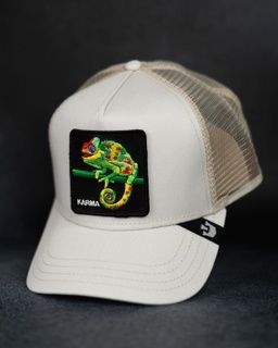 Кепка Goorin Bros Animal Farm Karma Chameleon One size Creme (101-1660) 5178252 фото