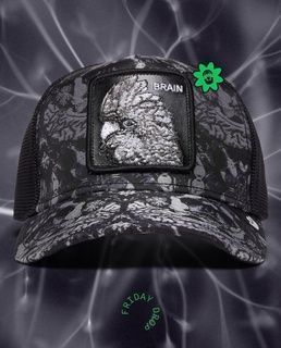 Кепка Goorin Bros Animal Farm BRAIN Exclusive Limit One size (101-3254-VOI01-O/S) 8519690 фото