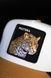 Кепка Goorin Bros Animal Farm PANTHER Limited Collection One size (101-1598) 8254116 фото 2