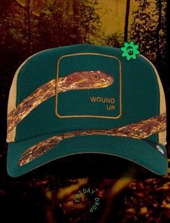 Кепка Goorin Bros Animal Farm WOUND UP Exclusive Limit One size (101-3299-GRN02-O\S) 8931112 фото