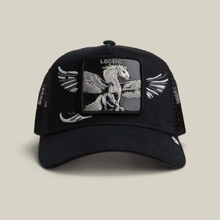 Кепка Goorin Bros Animal Farm Wings Legend Limited Collection One size (101-3019-VOI01-O/S) 7777925 фото