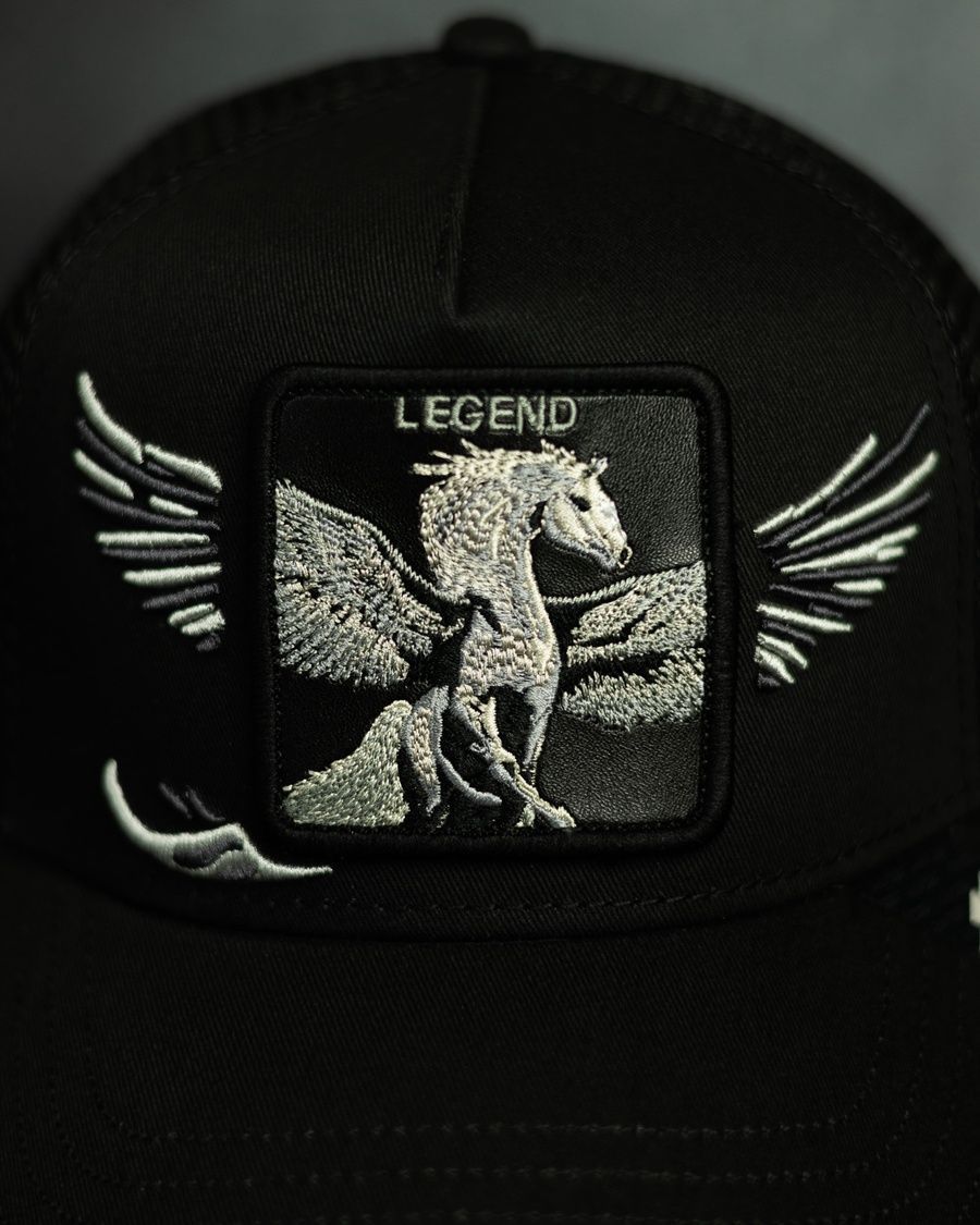 Кепка Goorin Bros Animal Farm Wings Legend Limited Collection One size (101-3019-VOI01-O/S) 7777925 фото