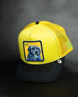 Кепка Goorin Bros Animal Farm LOYAL One size (101-1037) 5447378 фото