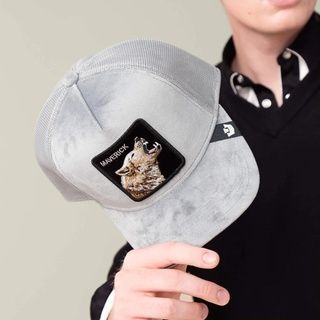 Кепка Goorin Bros Animal Farm Velour Wolf Limited Collection One size (101-2348) 7417837 фото