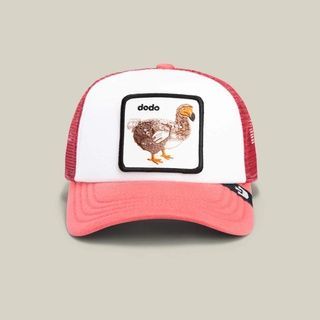 Дитяча кепка Goorin Bros Animal Farm DODO One size (201-0075) 8105240 фото