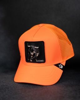 Кепка Goorin Bros Animal Farm RAGING One size Oranje (101-1665) 5145855 фото