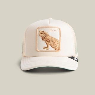 Дитяча кепка Goorin Bros Animal Farm FAR OUT One size (201-0063) 8105248 фото